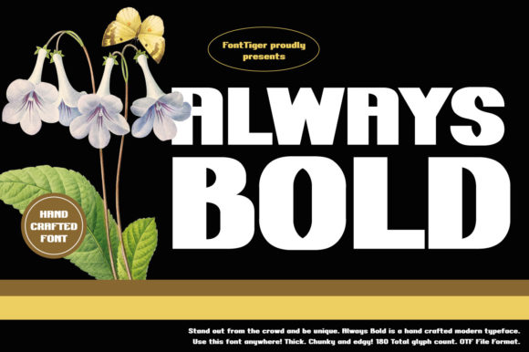Always Bold: A Font to Elevate Your Brand's Visual Identity