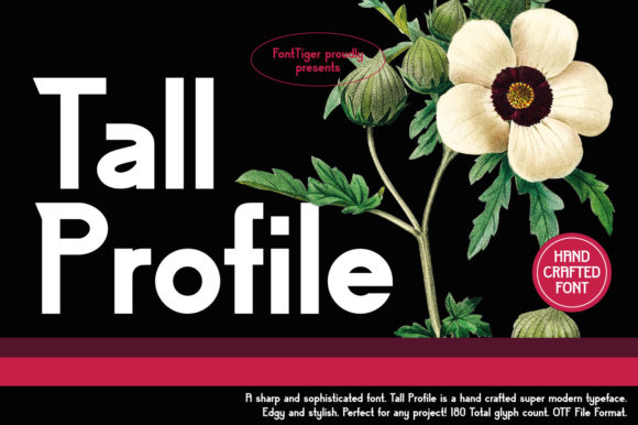 Discovering Tall Profile: A Bold and Assertive Display Font